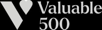 The Valuable 500