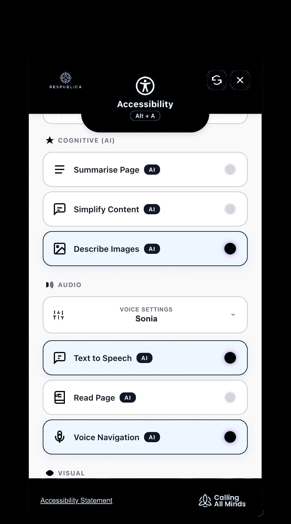 AXS Toolbar interface cutout showing the accessibility widget controls